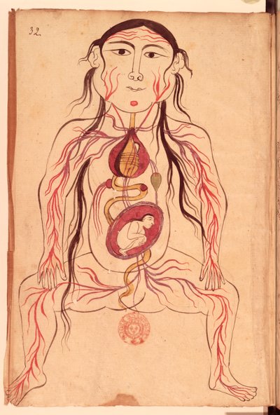 Ms Persan 151 Fol.32 Diagramma anatomico di una donna e del suo feto da Mansour b. Eliyas Chirazi